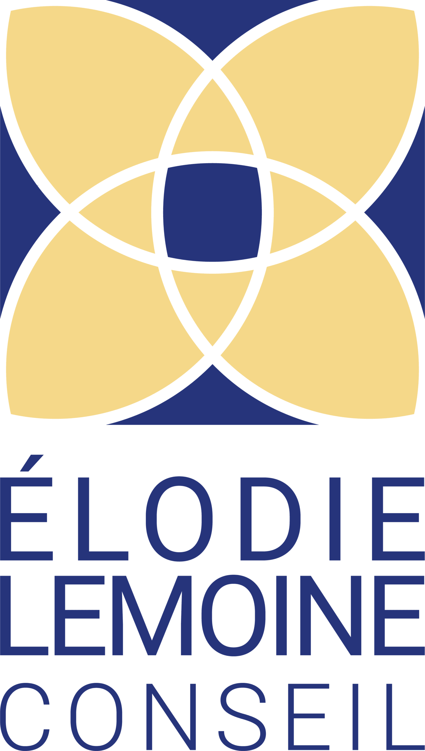 Elodie Lemoine Conseil Logo Alexandre et Laetitia - Lancer son activité - Vos enjeux