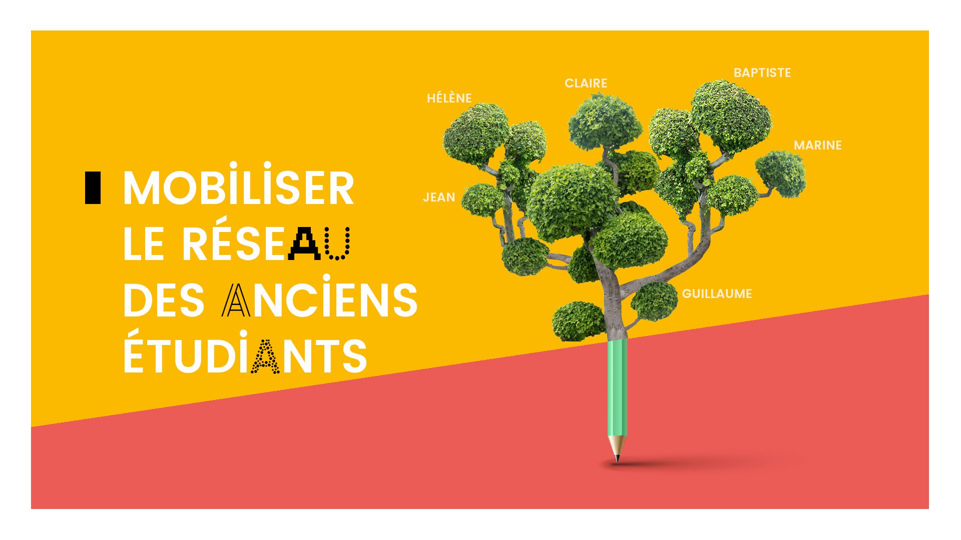 Journal - Université d'Angers motion design institutionnel - Alexandre et Laetitia
