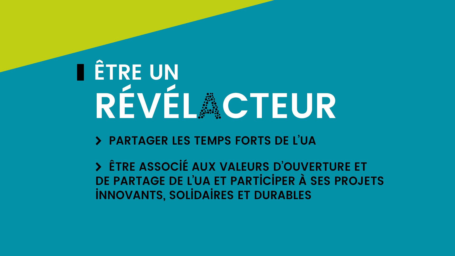Journal - Université d'Angers motion design institutionnel - Alexandre et Laetitia