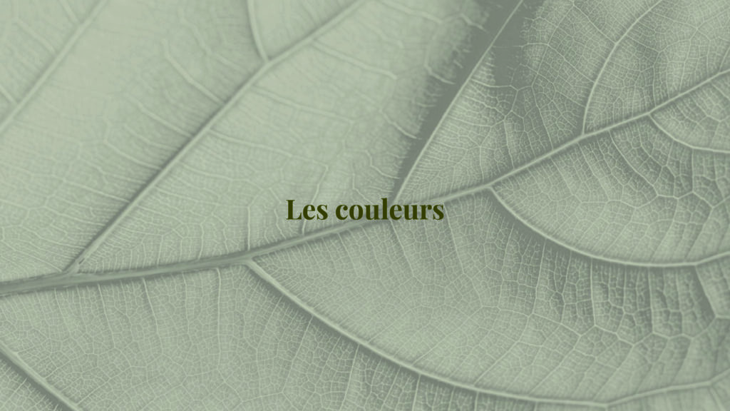 Journal - Mathilde Crozet agence de communication La Flèche - Alexandre et Laetitia