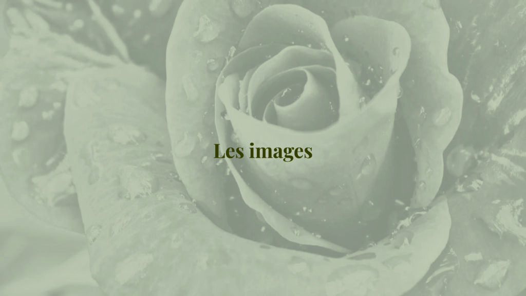Journal - Mathilde Crozet agence de communication La Flèche - Alexandre et Laetitia