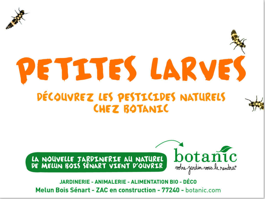 Journal - Affiche 5 - Alexandre et Laetitia