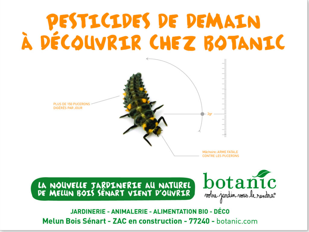 Journal - Affiche 3 - Alexandre et Laetitia