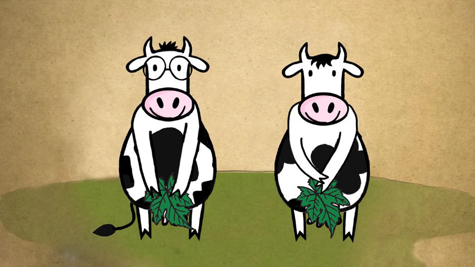 Journal - Les 2 Vaches QDG_11 - Alexandre et Laetitia