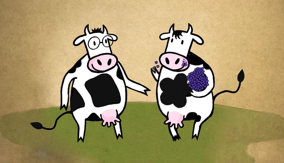 Journal - Les 2 Vaches QDG_9 - Alexandre et Laetitia