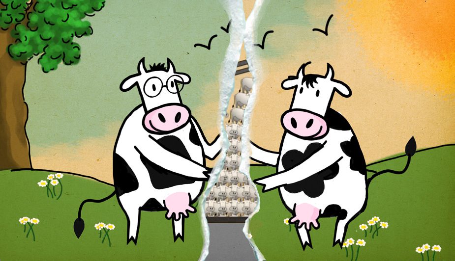 Journal - Les 2 Vaches RAC_6 - Alexandre et Laetitia