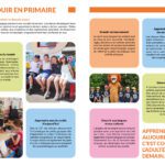 Alexandre et Laetitia - ESCG - Brochure